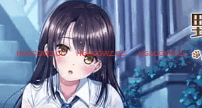 【SLG/AI汉化/MTool/CV】与流浪猫少女的生活 CAT Girl Sweet Days【PC/1.7G】