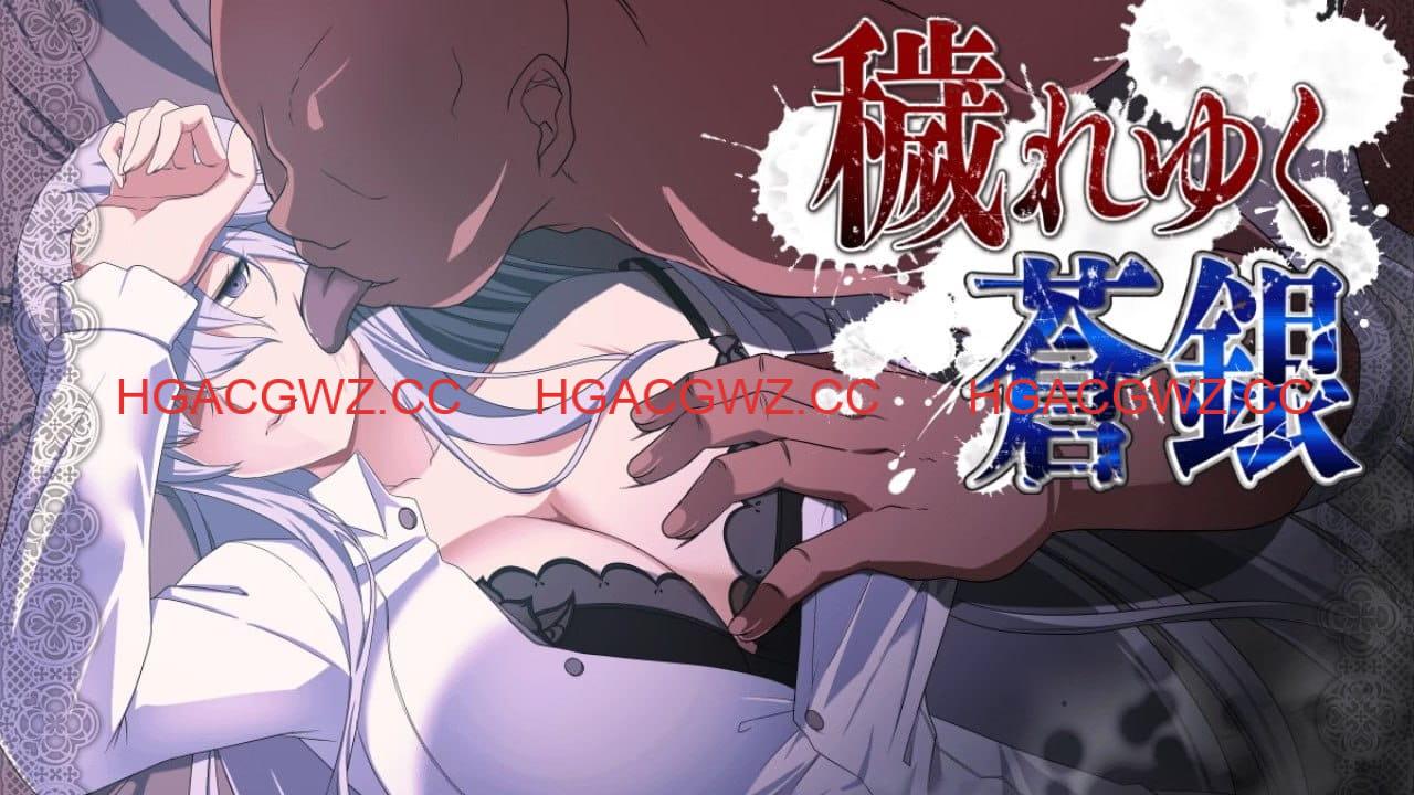 【RPG/AI汉化/动态/MTool】日渐堕落的苍银v0.7【电脑/840M】